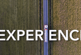 experience